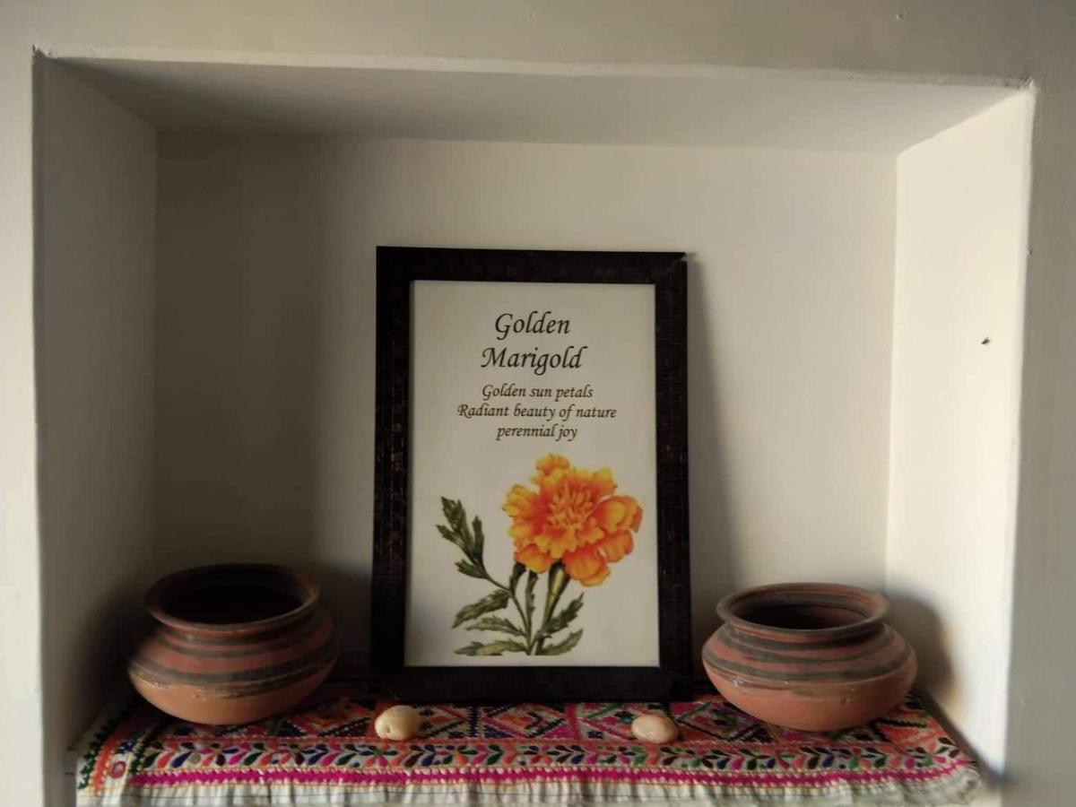 Golden Marigold Hotel Jaisalmer Exterior foto